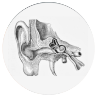 inner ear icon